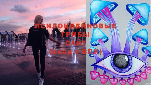 герыч Нягань