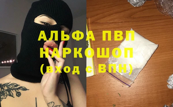 соль ск Новодвинск