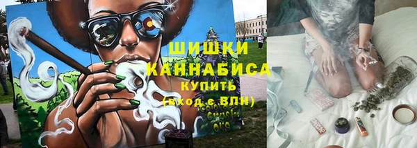 соль ск Новодвинск