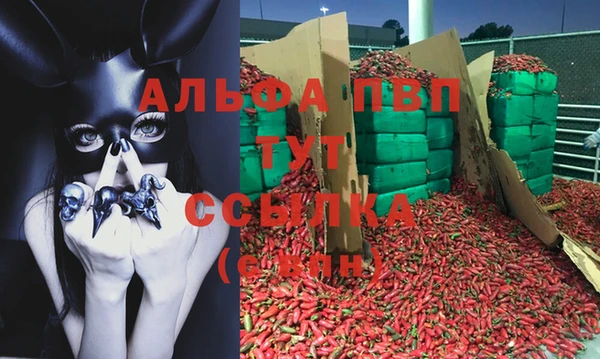 марки nbome Новокубанск