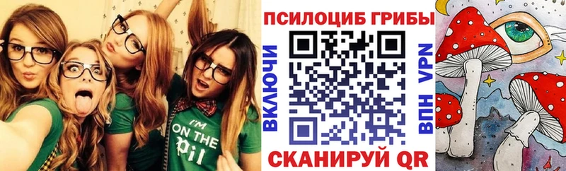 OMG рабочий сайт  Кириллов  Псилоцибиновые грибы Cubensis 